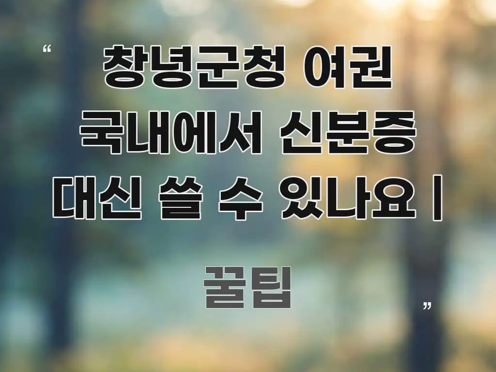 창녕군청 여권 국내에서 신분증 대신 쓸 수 있나요 | 시선을 사로잡는 정보 요약 인포그래픽 이미지 - 가독성을 높이는 이미지