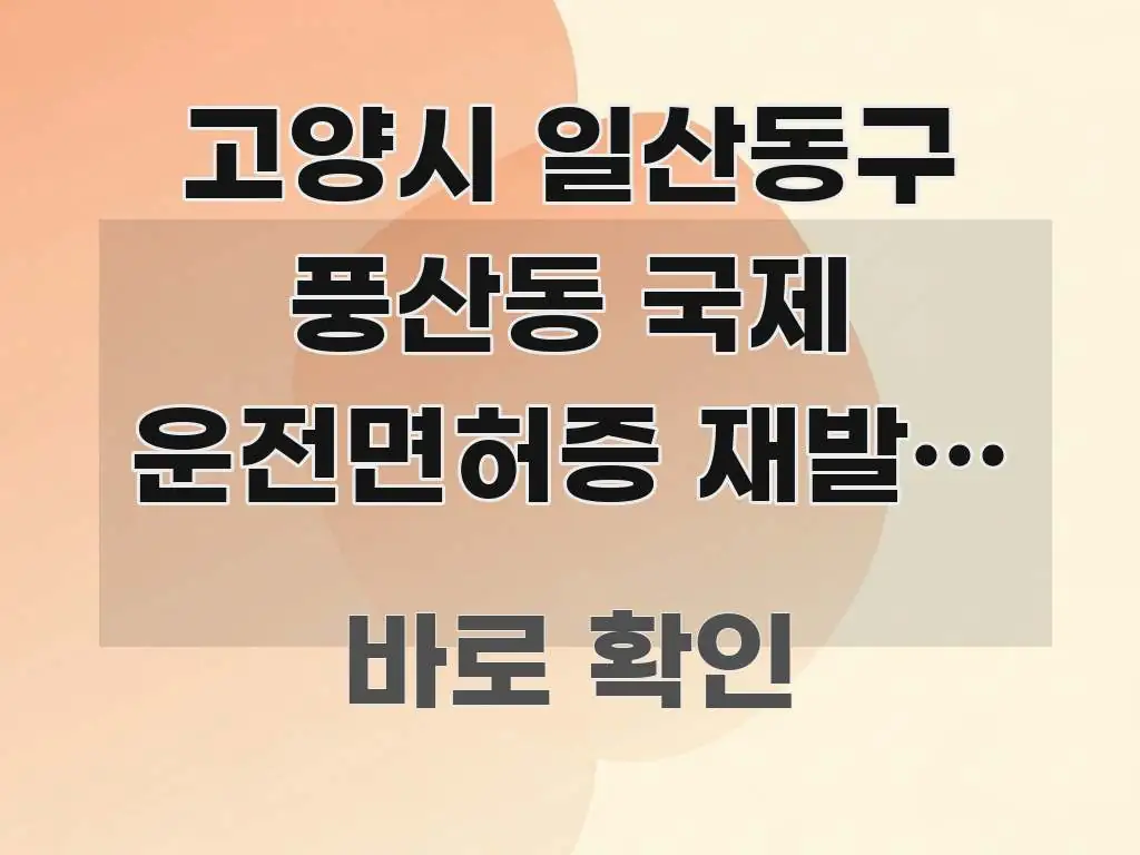 고양시 일산동구 풍산동 국제 운전면허증 재발급 미성년자 바로 활용 가능한 텍스트 기반 블로그 이미지 - 본문 내용과 연관된 이미지