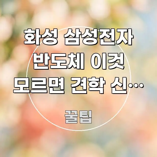 화성 삼성전자 반도체 이것 모르면 견학 신청 방법을 핵심 정보를 압축한 정보 요약 인포그래픽 이미지 - 활용 예시 이미지