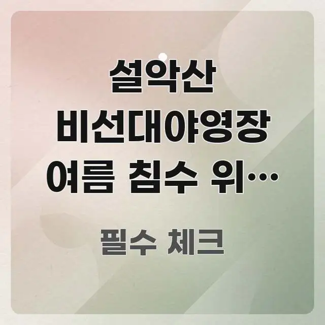 설악산 비선대야영장 여름 침수 위험 여부 | 강원 주요 포인트를 요약한 텍스트형 카드뉴스 표지 이미지 - 참고용 이미지
