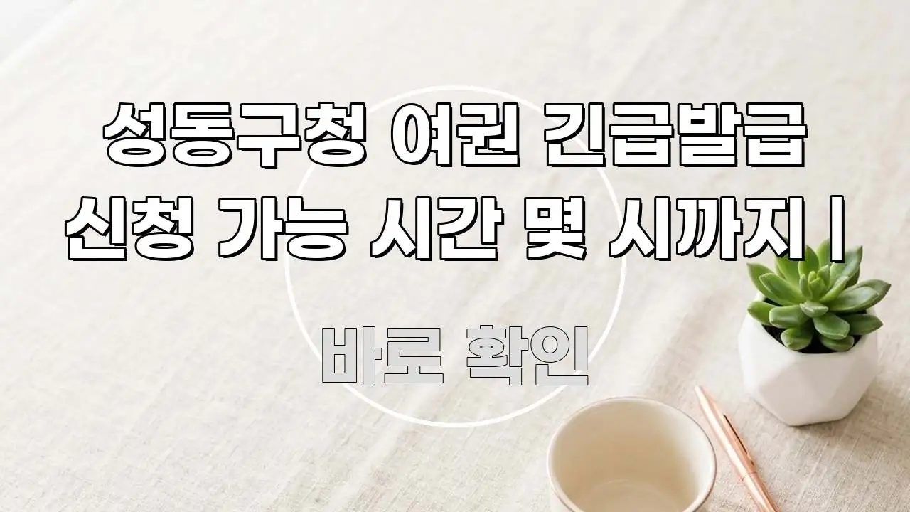 성동구청 여권 긴급발급 신청 가능 시간 몇 시까지 | 핵심 내용을 정리한 정보 요약 포스터