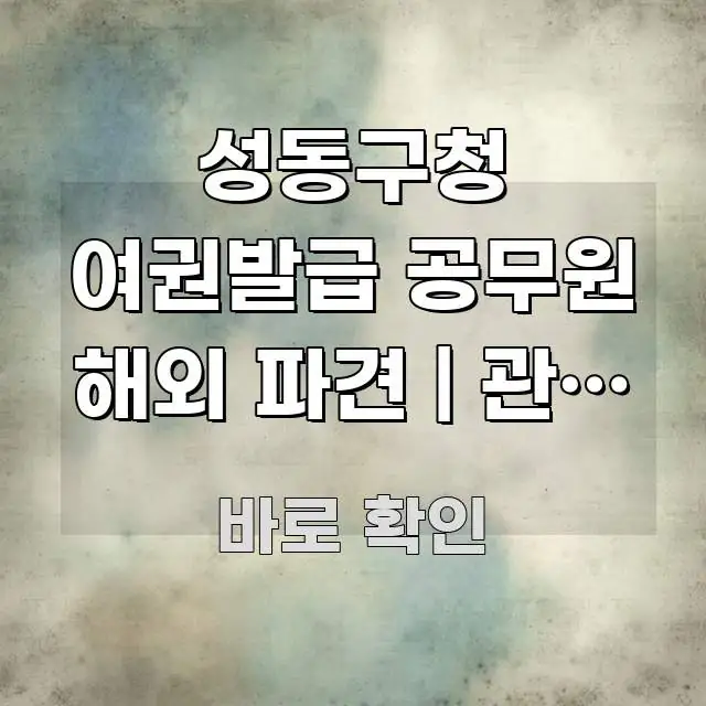 성동구청 여권발급 공무원 해외 파견 | 관용 여권과 심플하고 명확하게 정리한 글 소개 썸네일 이미지 - 활용 예시 이미지