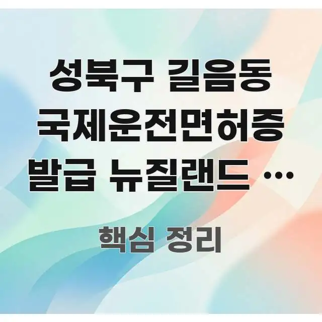 성북구 길음동 국제운전면허증 발급 뉴질랜드 | 뉴질랜드 핵심 정보 중심의 콘텐츠 요약 표지 이미지 - 참고용 이미지