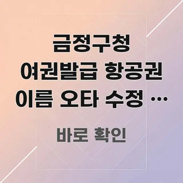 금정구청 여권발급 항공권 이름 오타 수정 | 여권이랑 주요 흐름을 설명한 정보 정리 카드 이미지 - 가독성을 높이는 이미지