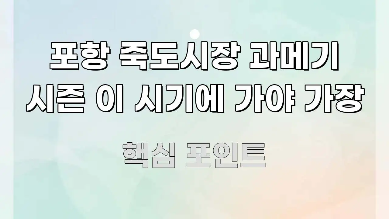 포항 죽도시장 과메기 시즌 이 시기에 가야 가장 꼭 필요한 정보만 담은 텍스트형 카드뉴스 표지 이미지 - 독자 이해를 위한 이미지
