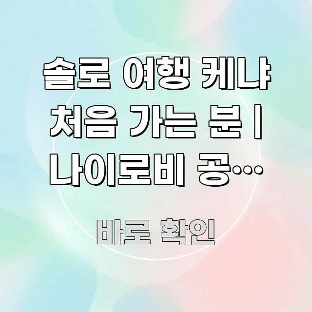 솔로 여행 케냐 처음 가는 분 | 나이로비 공항 출국 가독성 높게 정리한 텍스트 포스터 이미지 - 글 흐름을 돕는 시각 자료