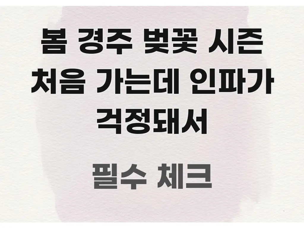 봄 경주 벚꽃 시즌 처음 가는데 인파가 걱정돼서 꼭 알아야 할 정보를 담은 정보 전달형 표지 이미지 - 글 흐름을 돕는 시각 자료