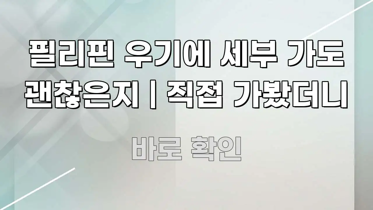 필리핀 우기에 세부 가도 괜찮은지 | 직접 가봤더니 중요 내용만 뽑은 정보 정리 카드 이미지 - 내용 요약을 위한 이미지