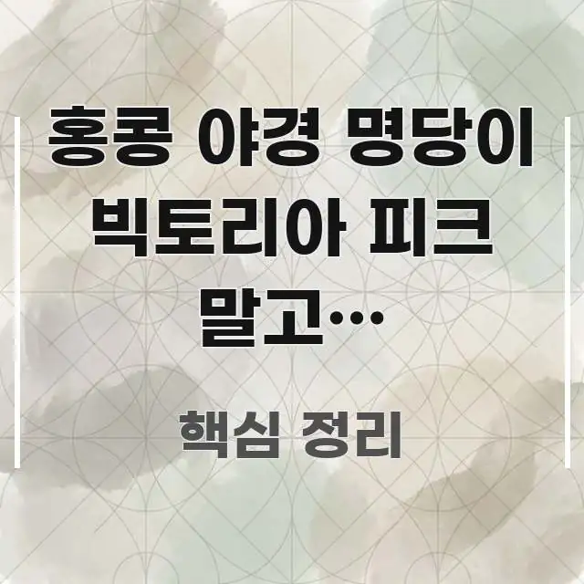 홍콩 야경 명당이 빅토리아 피크 말고도 있었습니다 | 검증된 정보로 구성된 핵심 정리 썸네일 이미지