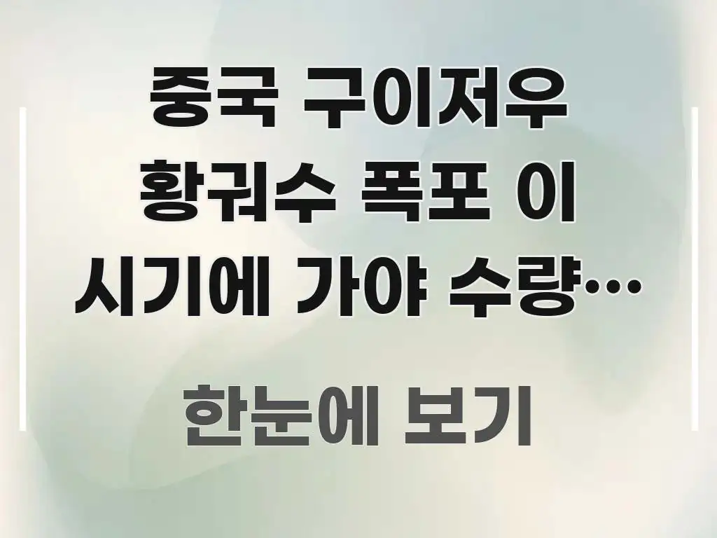 중국 구이저우 황궈수 폭포 이 시기에 가야 수량이 가장 요점만 뽑아낸 깔끔한 인포그래픽 표지