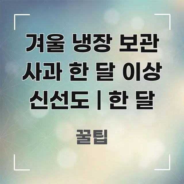 겨울 냉장 보관 사과 한 달 이상 신선도 | 한 달 한 번에 이해되는 심플 타이포그래피 표지 - 글 흐름을 돕는 시각 자료