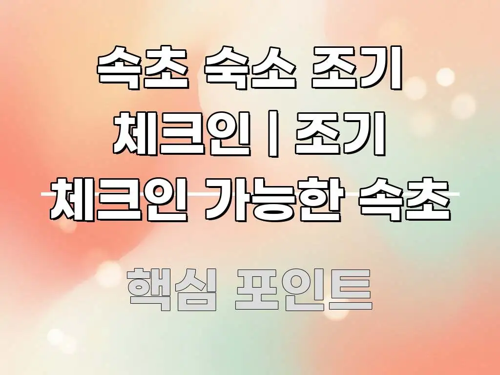 속초 숙소 조기 체크인 | 조기 체크인 가능한 속초 흥미롭게 구성한 미니멀 블로그 썸네일 - 본문 내용과 연관된 이미지