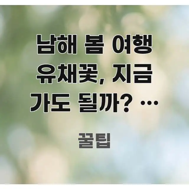남해 봄 여행 유채꽃, 지금 가도 될까? — 가천 쉽게 읽히는 정보 요약 인포그래픽 이미지