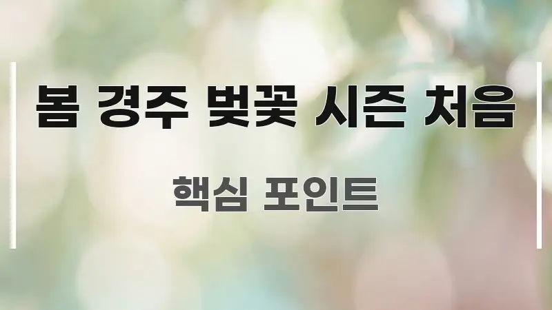 봄 경주 벚꽃 시즌 처음 주요 흐름을 설명한 핵심 정보 비주얼