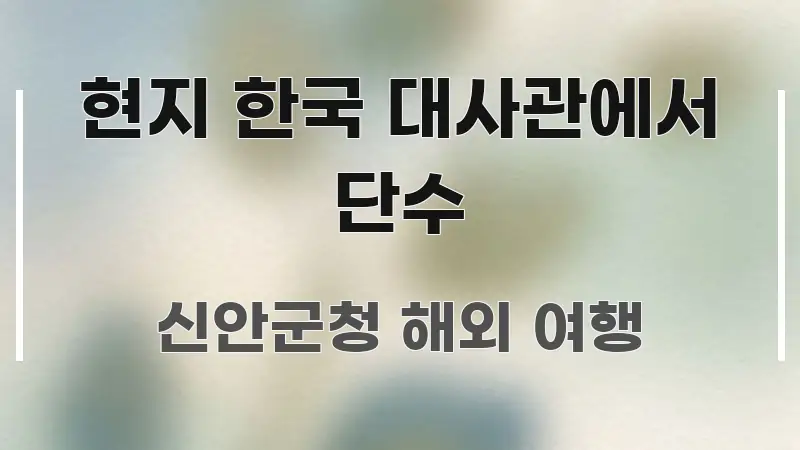 현지 한국 대사관에서 단수 구조적으로 정리된 핵심 정보 비주얼 - 글 흐름을 돕는 시각 자료