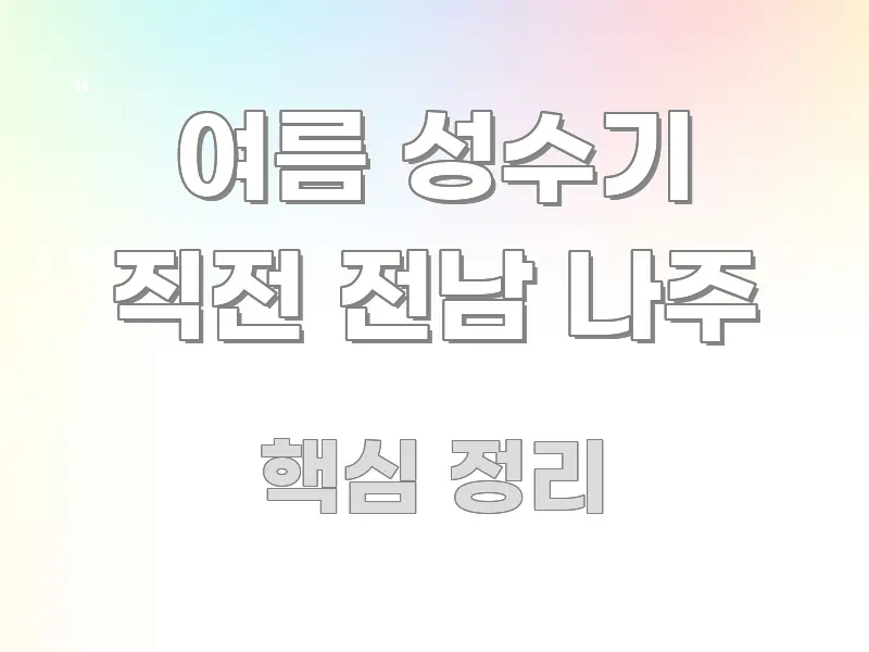 여름 성수기 직전 전남 나주 실용적으로 정리한 모던 카드뉴스 디자인 - 내용 요약을 위한 이미지