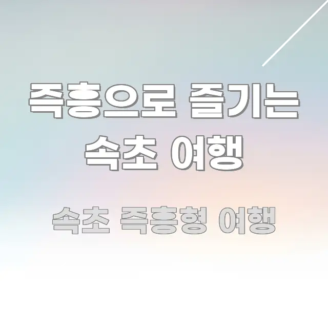 즉흥으로 즐기는 속초 여행 실용적으로 정리한 정보 요약 인포그래픽 이미지 - 가독성을 높이는 이미지
