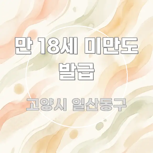 만 18세 미만도 발급 간결하고 명료한 정보 정리 카드 이미지