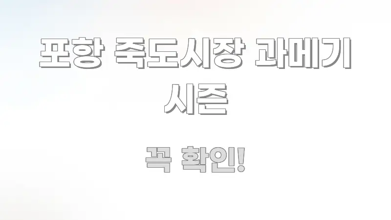 포항 죽도시장 과메기 시즌 쉽게 따라할 수 있는 텍스트 포스터 이미지 - 설명을 돕는 이미지