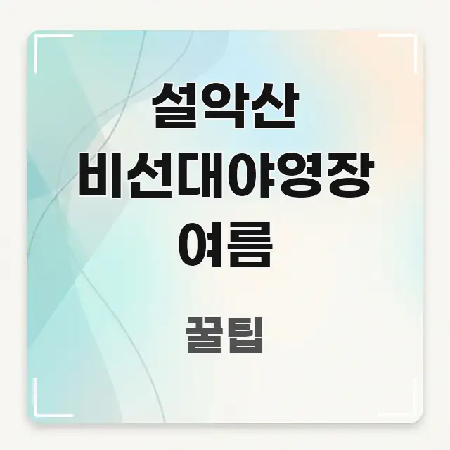 설악산 비선대야영장 여름 핵심 정보 중심의 읽기 좋은 정보 카드 - 설명을 돕는 이미지