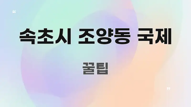 속초시 조양동 국제 검증된 정보로 구성된 정보 카드 디자인 이미지 - 활용 예시 이미지