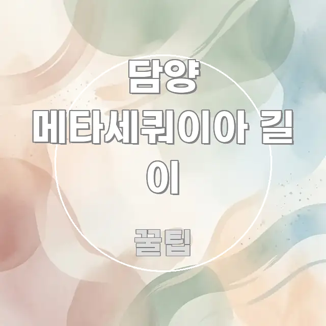 담양 메타세쿼이아 길 이 주요 포인트를 요약한 정보 전달형 표지 이미지