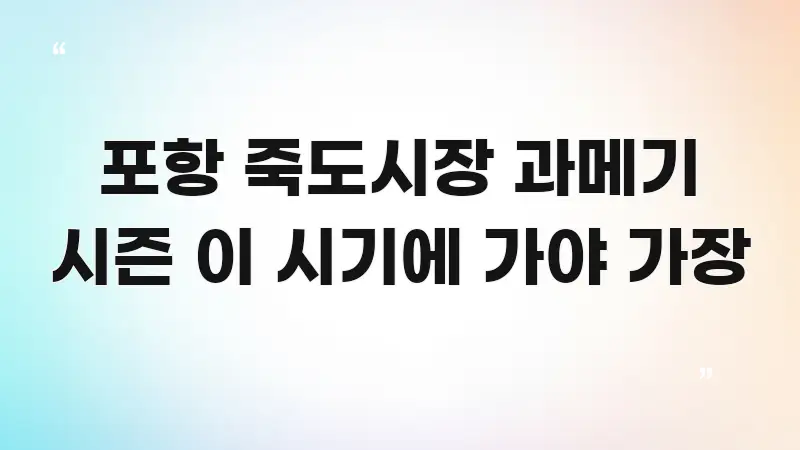 포항 죽도시장 과메기 시즌 이 시기에 가야 가장 가독성 높게 정리한 포스트 대표 비주얼 이미지 - 글 흐름을 돕는 시각 자료