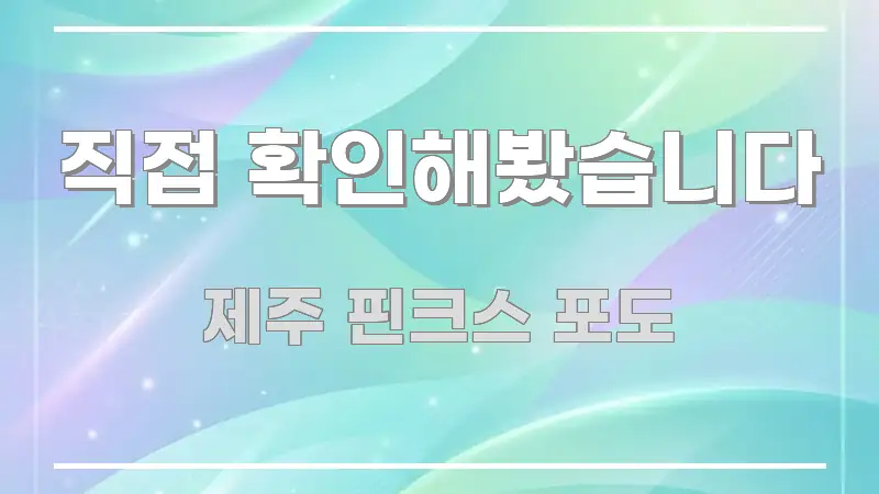 직접 확인해봤습니다 간결하고 명료한 블로그 섹션 구분 이미지 - 내용 요약을 위한 이미지