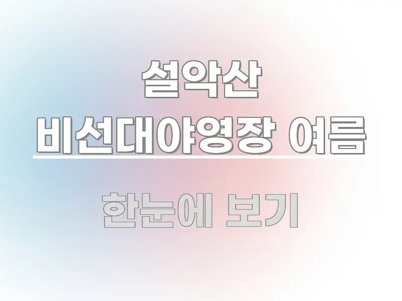 설악산 비선대야영장 여름 시선을 사로잡는 타이포그래피 블로그 표지