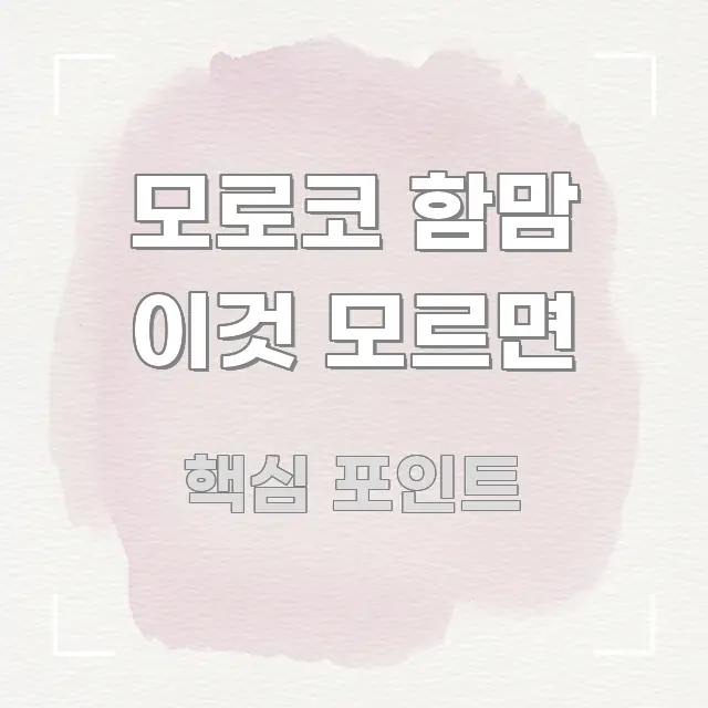 모로코 함맘 이것 모르면 직관적으로 이해되는 정보 요약 인포그래픽 이미지