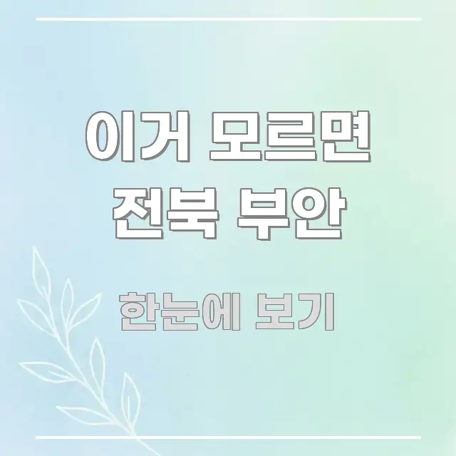 이거 모르면 전북 부안 실용적으로 정리한 콘텐츠 요약 표지 이미지 - 본문 내용과 연관된 이미지