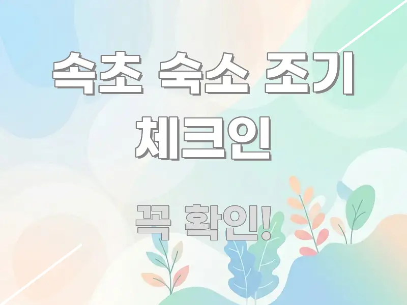 속초 숙소 조기 체크인 정보 이미지 속초 숙소 조기 체크인 심플하고 명확하게 정리한 블로그용 카드뉴스 썸네일