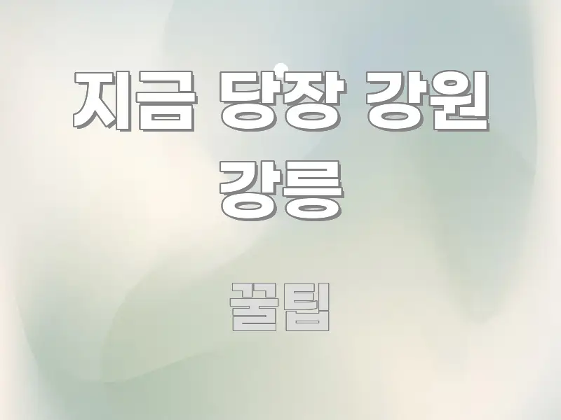 지금 당장 강원 강릉 한눈에 보기 좋게 요약한 읽기 좋은 정보 카드