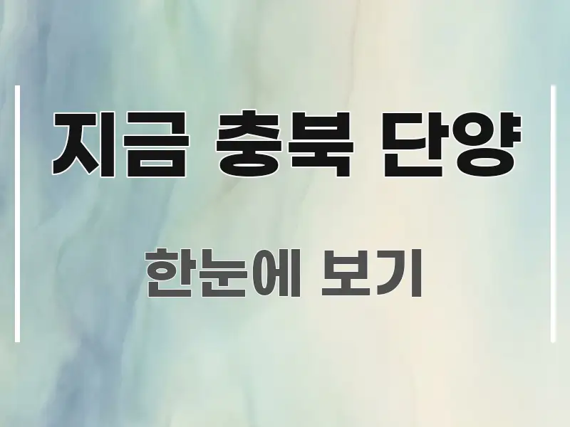지금 충북 단양 주요 흐름을 설명한 모던 카드뉴스 디자인