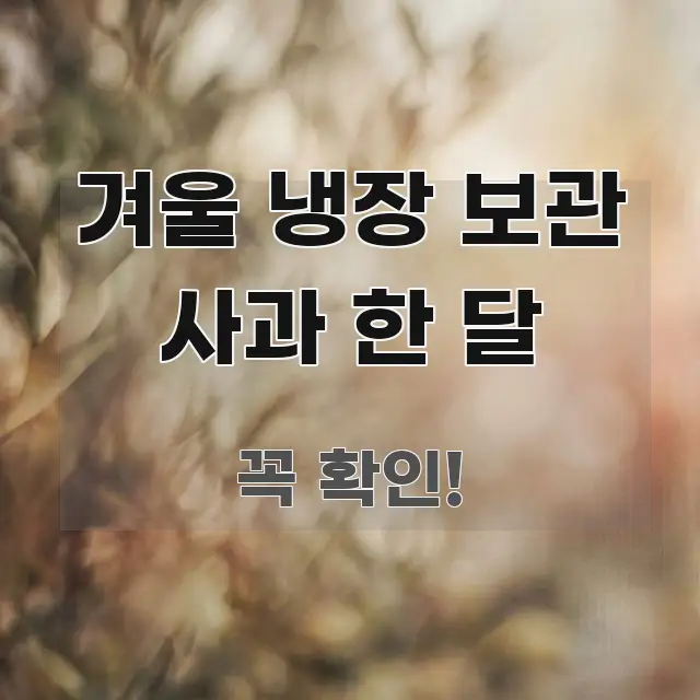 겨울 냉장 보관 사과 한 달 정보 이미지 겨울 냉장 보관 사과 한 달 전문적으로 분석한 카드뉴스 스타일 이미지 - 설명을 돕는 이미지