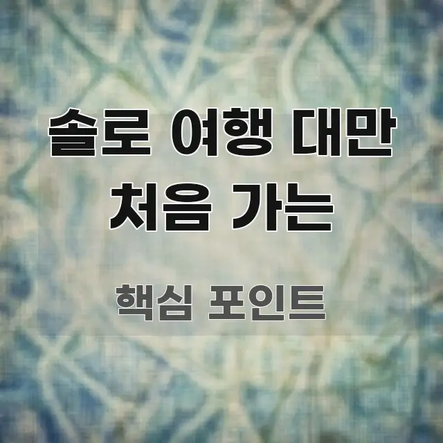 솔로 여행 대만 처음 가는 꼼꼼하게 정리된 정보 요약 인포그래픽 이미지 - 글 흐름을 돕는 시각 자료