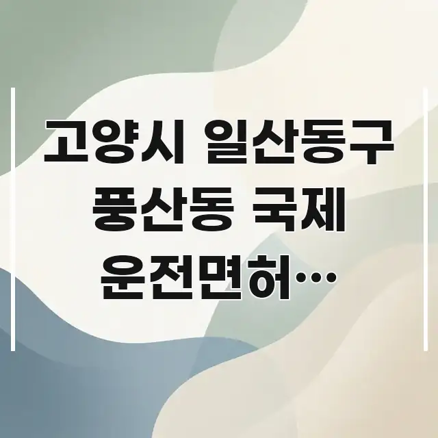 고양시 일산동구 풍산동 국제 운전면허증 재발급 미성년자 흥미롭게 구성한 핵심 요약 디자인 카드 - 본문 내용과 연관된 이미지