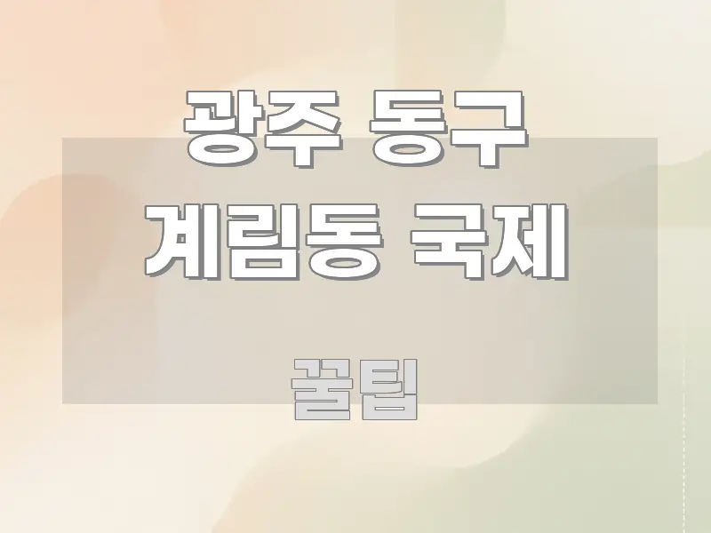 광주 동구 계림동 국제 전문적으로 분석한 핵심 정리 썸네일 이미지