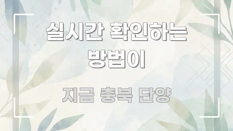 실시간 확인하는 방법이 이해하기 쉬운 심플 타이포그래피 표지 - 독자 이해를 위한 이미지
