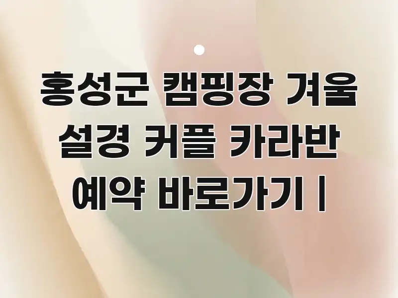 홍성군 캠핑장 겨울 설경 커플 카라반 예약 바로가기 | 간결하고 명료한 텍스트 포스터 이미지 - 내용 요약을 위한 이미지
