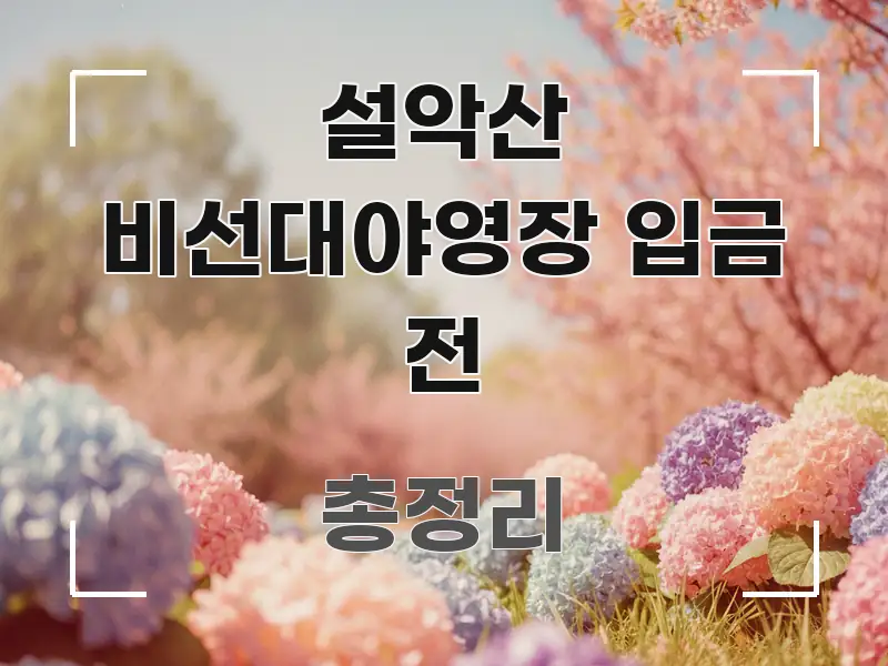 설악산 비선대야영장 입금 전 주요 흐름을 설명한 텍스트 기반 블로그 이미지 - 내용 요약을 위한 이미지