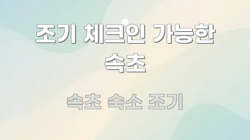 조기 체크인 가능한 속초 핵심 요약 조기 체크인 가능한 속초 주요 흐름을 설명한 블로그용 카드뉴스 썸네일
