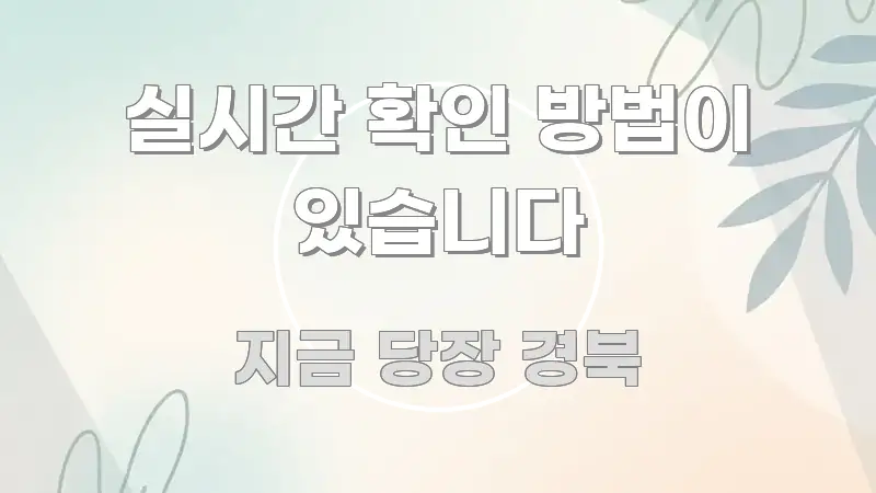 실시간 확인 방법이 있습니다 이해하기 쉬운 텍스트형 카드뉴스 표지 이미지 - 독자 이해를 위한 이미지