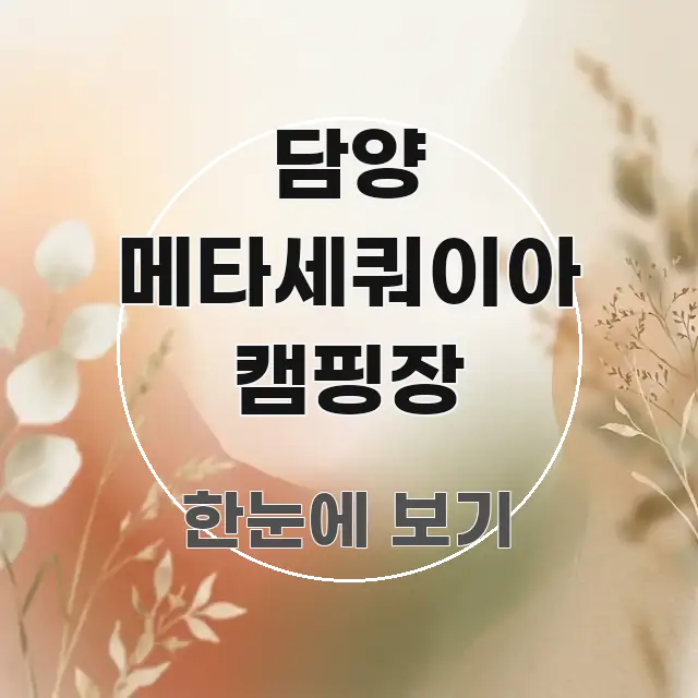 담양 메타세쿼이아 캠핑장 빠르게 이해할 수 있는 블로그 섹션 구분 이미지