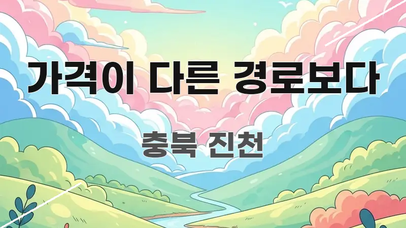 가격이 다른 경로보다 한눈에 보기 좋게 요약한 텍스트 포스터 이미지 - 활용 예시 이미지