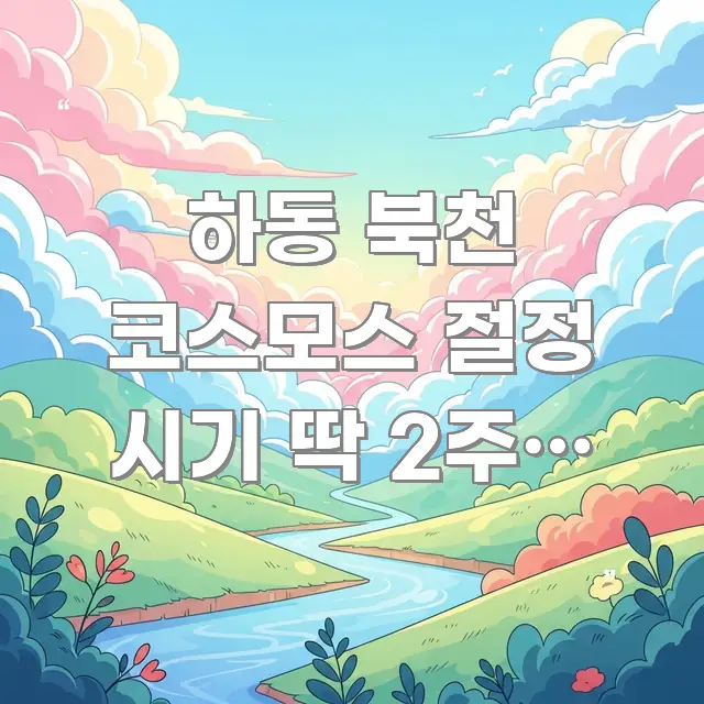 하동 북천 코스모스 절정 시기 딱 2주! 놓치면 핵심 정보 중심의 스마트 정보 카드