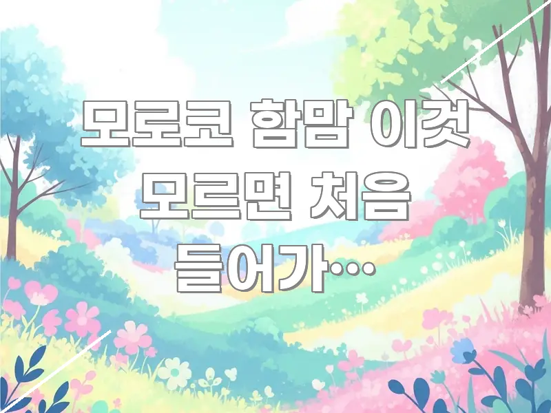 모로코 함맘 이것 모르면 처음 들어가면 당황합니다 | 한눈에 보기 좋게 요약한 정보 카드 디자인 이미지