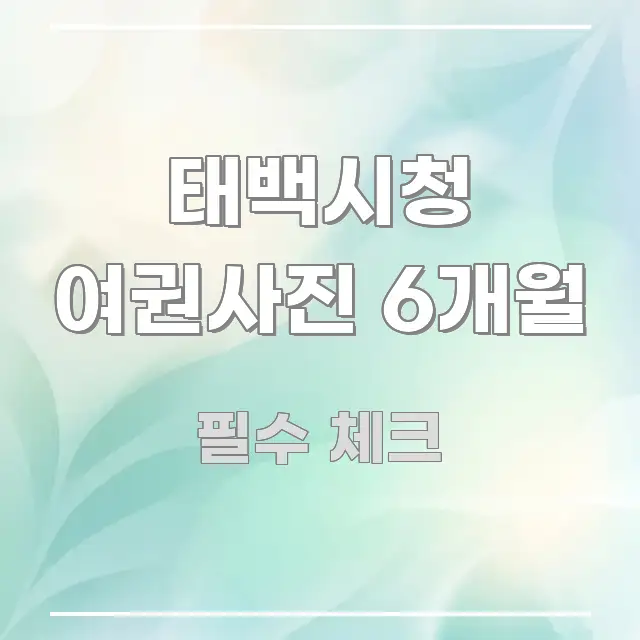 태백시청 여권사진 6개월 명확하게 정리된 심플 타이포그래피 표지 - 활용 예시 이미지