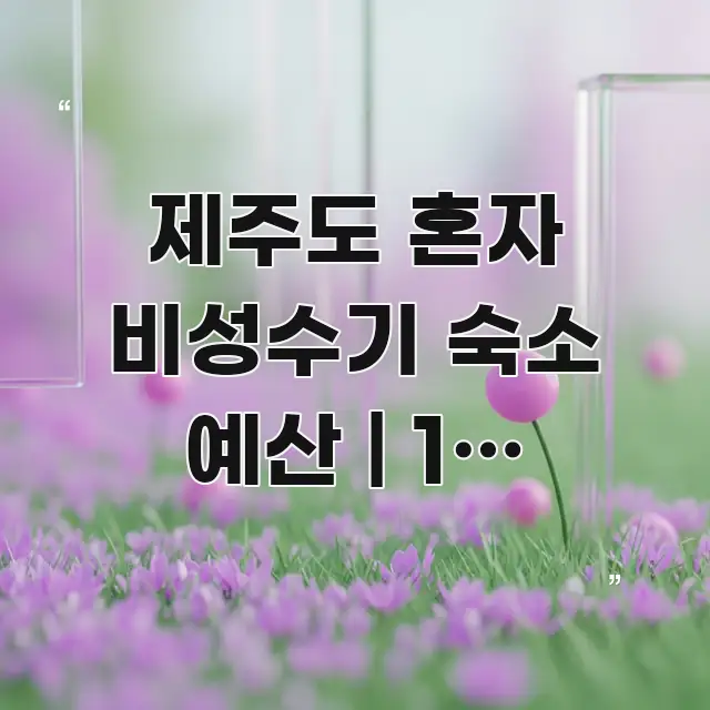 제주도 혼자 비성수기 숙소 예산 | 1박 3만원대로 꼭 알아야 할 정보를 담은 텍스트 포스터 이미지 - 참고용 이미지