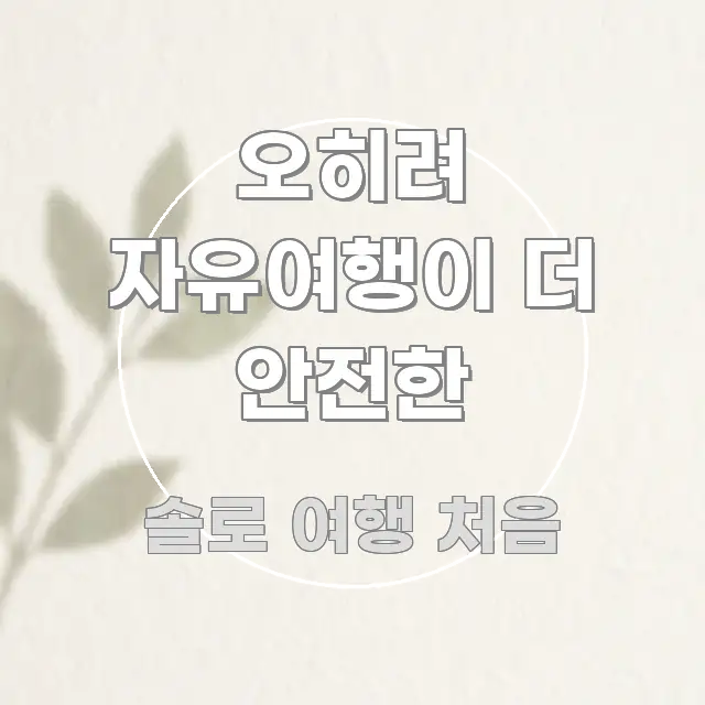 오히려 자유여행이 더 안전한 핵심만 담은 정보 요약 인포그래픽 이미지 - 참고용 이미지